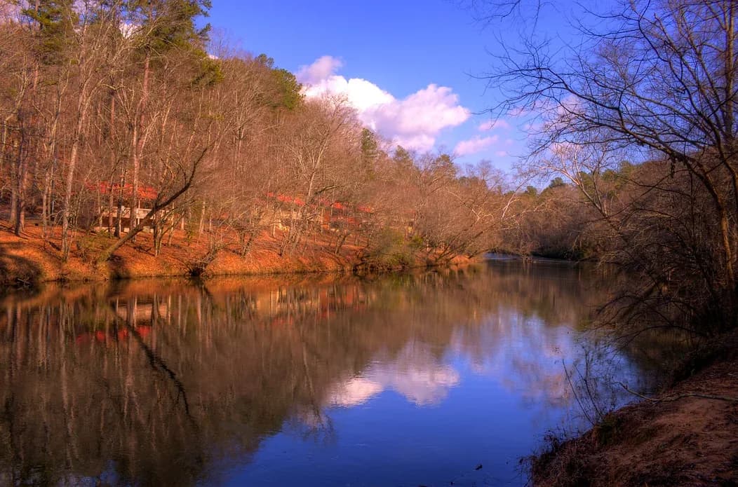 Autumn trees reflected in the Coosawattee River at Canoe Park